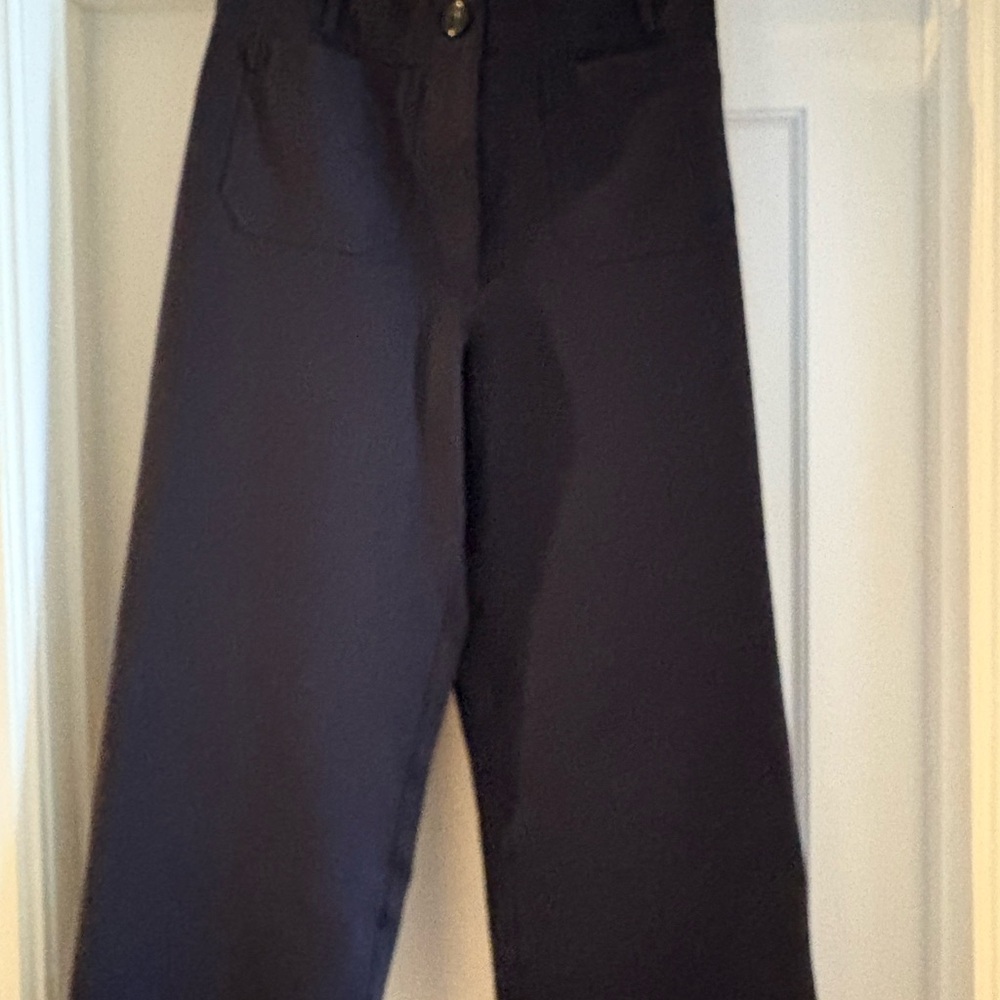 Quince Navy Blue Stretch Wide Leg Cropped Pants - Picture 4 of 10